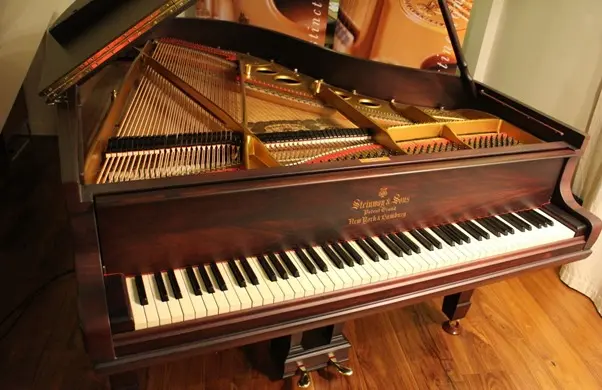 بهترین ابزار و وسایل جانبی برای مراقبت از پیانو | نل پیانو