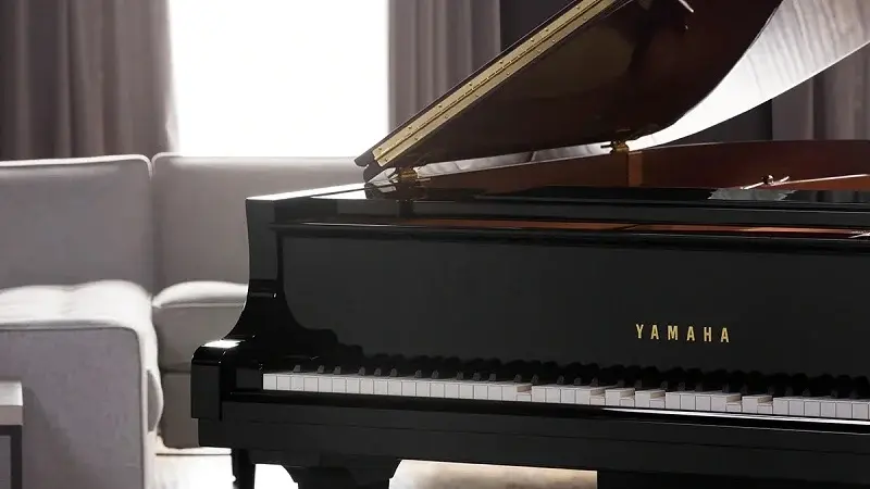 از خواندن نت تا اجرای قطعه؛ مسیر یادگیری پیانو چقدر طول می‌کشد؟ | نل پیانو